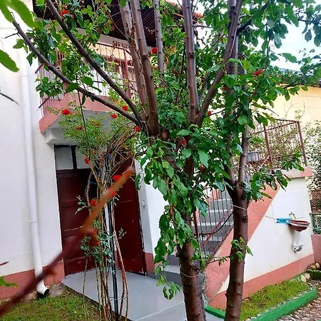 Garden * Sarajevo
